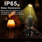 Integrated Telescopic Lamp 301