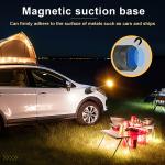 Detached Telescopic Lamp 302