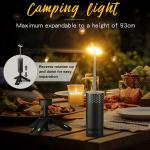 Detached Telescopic Lamp 302