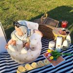 Baby Seat Without Tray Model